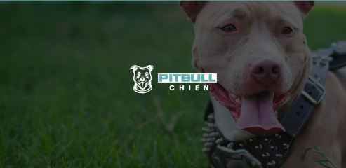 http://www.pitbullchien.com