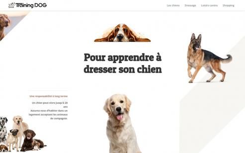 http://www.training-dog.fr