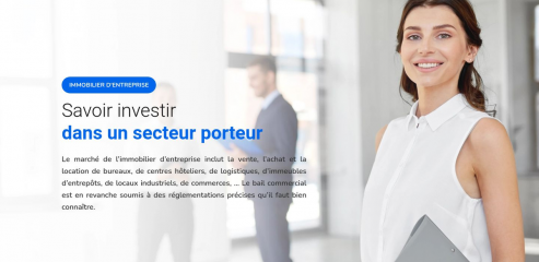 https://www.immobilier-pro.net